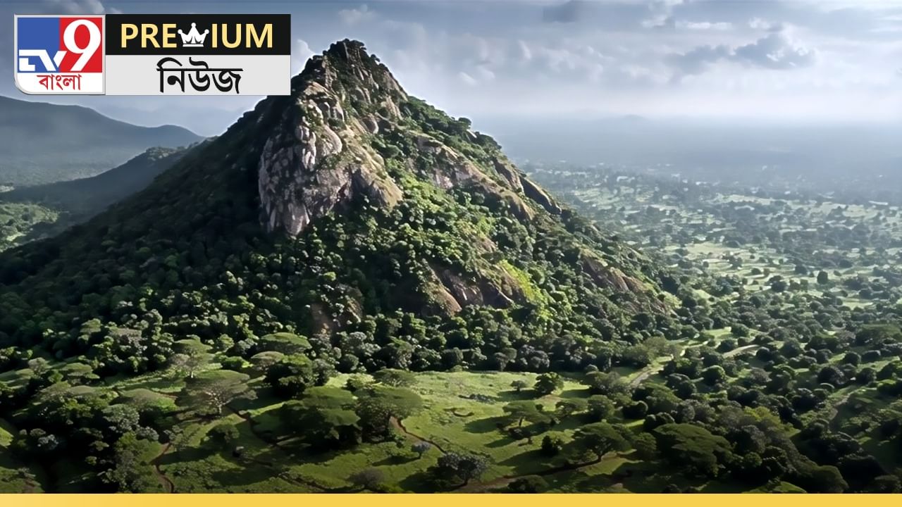 Why Mrima Hill And Forest Suddenly Becomes Focal Point Of Global Interest