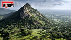 ভারত মহাসাগরের তীরের দেশে লক্ষ কোটির গুপ্তধন! পাহাড়-জঙ্গল হাতড়াচ্ছে