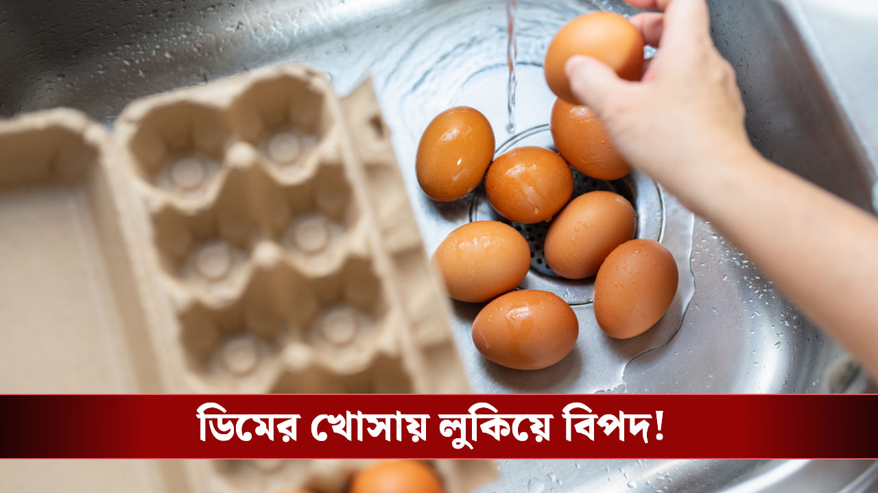 Egg: বাজার থেকে কেনা ডিম কি রান্না করার আগে ধোওয়া জরুরি? বিশেষজ্ঞরা বলছেন…