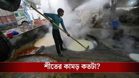 স্বাভাবিকের থেকে কম তাপমাত্রা, দু'দিনেই হাড়ে কতটা কাঁপুনি ধরবে?