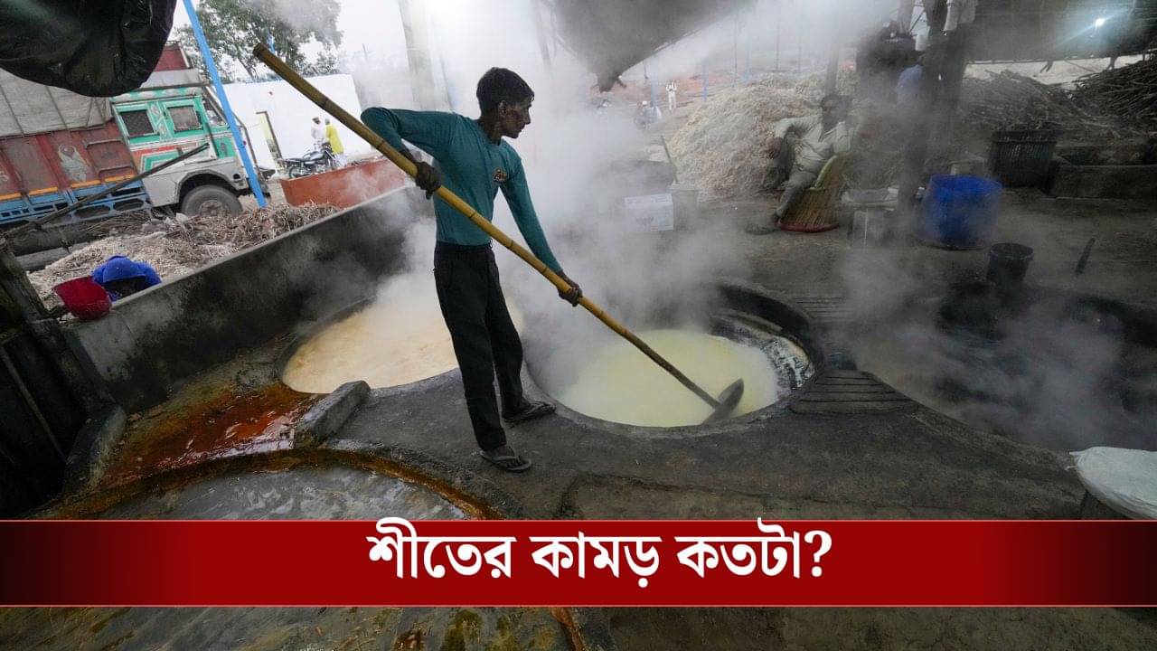 Latest Weather Update Today: স্বাভাবিকের থেকে কম তাপমাত্রা, দুদিনেই হাড়ে কতটা কাঁপুনি ধরবে, বলে দিল হাওয়া অফিস