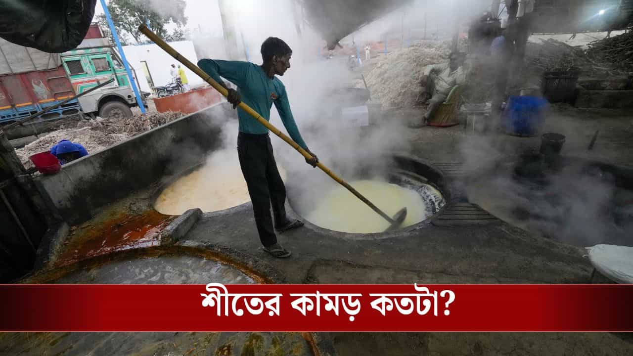 Latest Weather Update Today: স্বাভাবিকের থেকে কম তাপমাত্রা, দু'দিনেই হাড়ে কতটা কাঁপুনি ধরবে, বলে দিল হাওয়া অফিস Latest Weather Update Today: স্বাভাবিকের থেকে কম তাপমাত্রা, দু'দিনেই হাড়ে কতটা কাঁপুনি ধরবে, বলে দিল হাওয়া অফিস