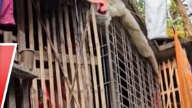 শ্বশুর হয়ে গেল বাবা! এই বাংলাদেশির কাণ্ড শুনলে চোখ কপালে উঠবে