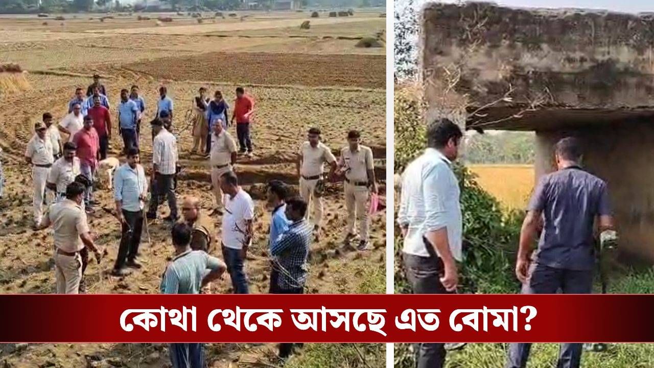 Murshidabad: বারুদের স্তূপে মুর্শিদাবাদ? ৩ সপ্তাহে বোমা উদ্ধার দেখে চোখ কপালে সবার