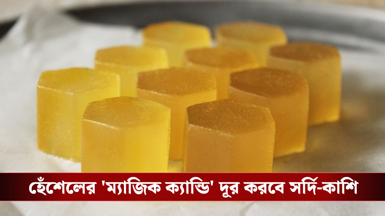 Ginger Honey lozenges: শীতে খুসখুসে কাশি? ঘরে তৈরি আদা-মধুর লজেন্সেই মিলবে ম্যাজিকের মতো আরাম! Ginger Honey lozenges: শীতে খুসখুসে কাশি? ঘরে তৈরি আদা-মধুর লজেন্সেই মিলবে ম্যাজিকের মতো আরাম!