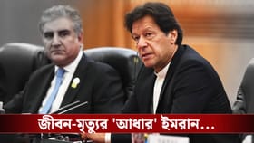 'জেলমুক্তি' হত ইমরানের, এসেছিল প্রস্তাব! ফিরিয়েই বাড়ল বিপদ'?