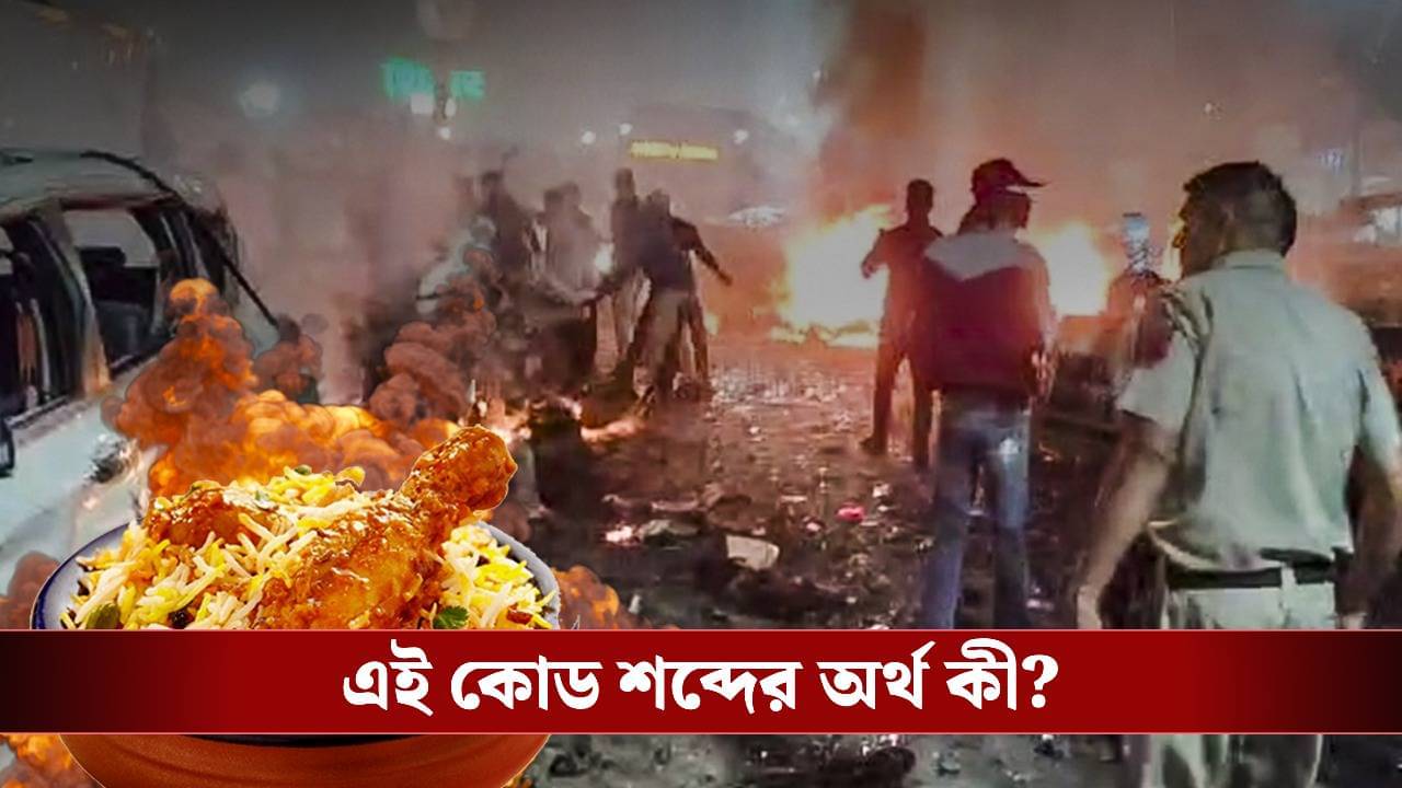Delhi blast case: বিরিয়ানি আর দাওয়াত-এ লুকিয়ে রহস্য, উমরদের কোড শব্দের মানে কী?