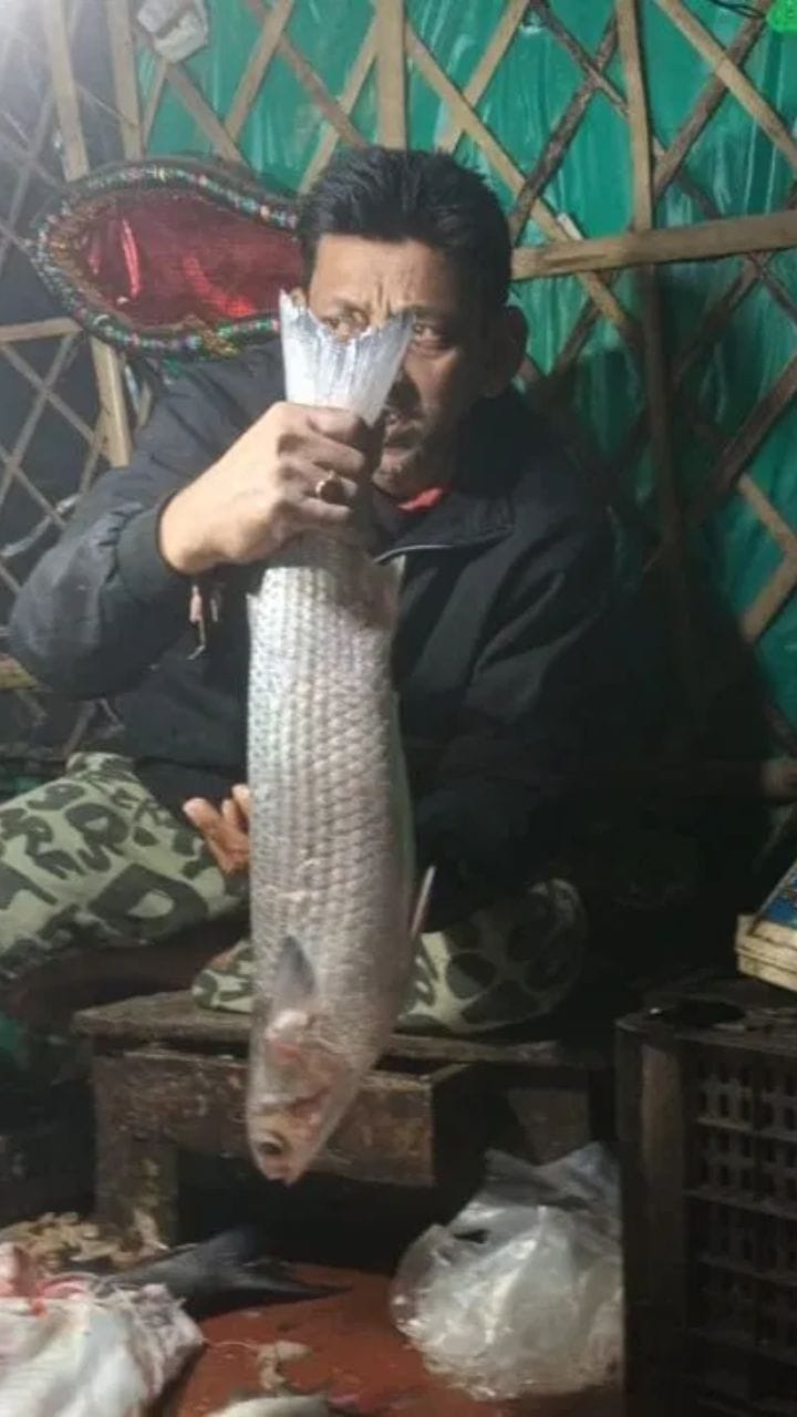 আড়াই কেজির পারশে মাছ! দেখুন ভিডিয়ো...