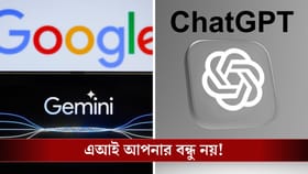 AI আপনার বন্ধু বা কাছের মানুষ নয়, এই সব জিনিস এখানে শেয়ার করবেন না!