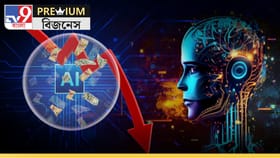 টাকা ঘুরছে, বাজারে তৈরি হচ্ছে বুদবুদ! ফাটলেই মুহূর্তে সব শেষ?