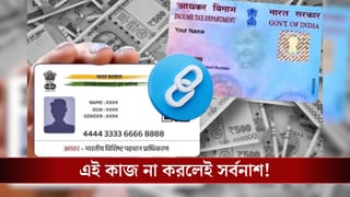 PAN-Aadhaar Alert: হাতে মাত্র কয়েকটা দিন, ৩১ ডিসেম্বরের মধ্যে এই কাজ না করলে কী হবে?