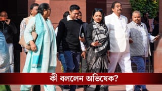 Abhishek Banerjee: বিজেপি নেতার মেয়ের বিয়েতে নাচ, সিগারেটে সুখটান-সাংসদদের ডেকে কড়া বার্তা অভিষেকের