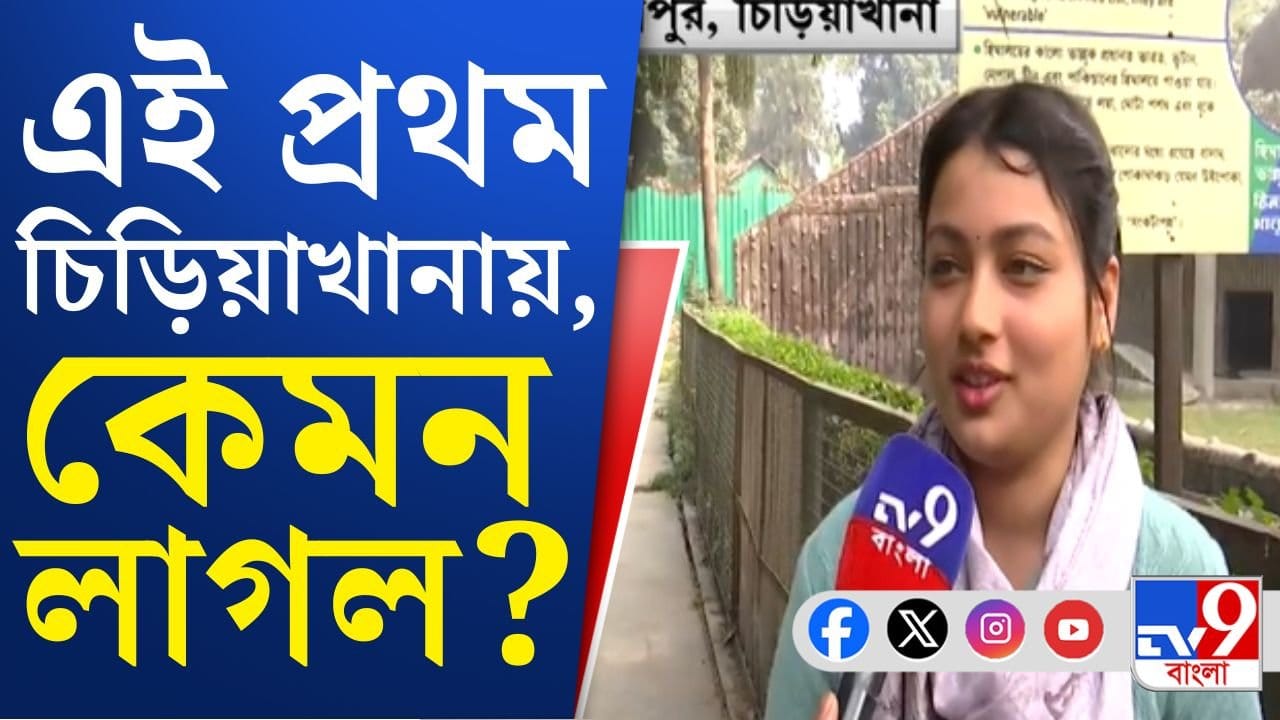 Christmas in Kolkata: বড়দিনে কোথায় কত ভিড় হল জানেন?