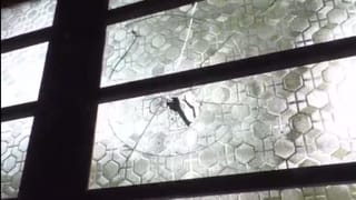 BLO: নাম বাদ যাওয়ার আশঙ্কাতেই এই হামলা, অভিযোগ আক্রান্ত BLO মানব চন্দ্রের