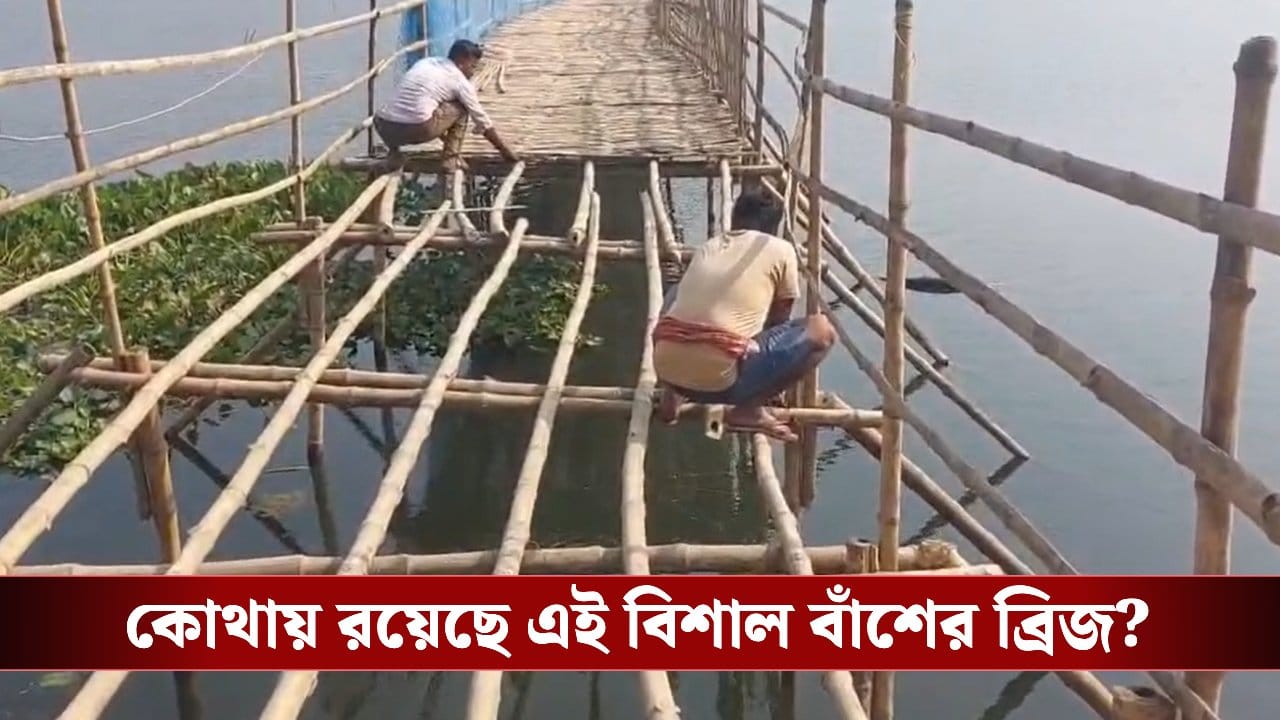 Bamboo Bridge: রিলস বানানোর চক্করে বন্ধই হয়ে গেল আস্ত ব্রিজ! ‘ক্রিয়েটরদের আসা বন্ধ করুক প্রশাসন’, বলছেন স্থানীয় বাসিন্দারা