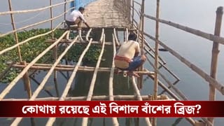 Bamboo Bridge: রিলস বানানোর চক্করে বন্ধই হয়ে গেল আস্ত ব্রিজ! ‘ক্রিয়েটরদের আসা বন্ধ করুক প্রশাসন’, বলছেন স্থানীয় বাসিন্দারা