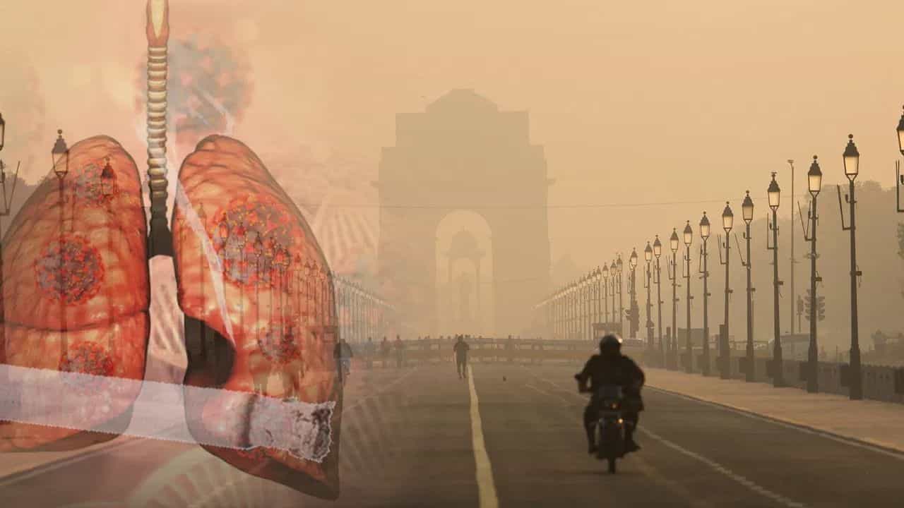 Delhi air pollution: দিল্লির বাতাসে শ্বাস নেওয়া দিনে ১৪টা সিগারেট খাওয়ার সমান, বলছে রিপোর্ট Delhi air pollution: দিল্লির বাতাসে শ্বাস নেওয়া দিনে ১৪টা সিগারেট খাওয়ার সমান, বলছে রিপোর্ট