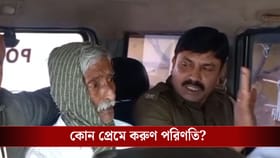 মার্জার প্রেম! প্রাণ গেল বাড়ি মালিকের, ঠিক কী ঘটল?