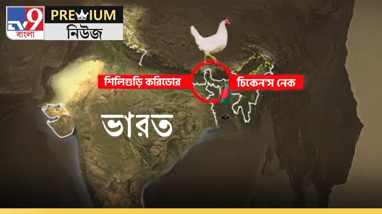 Chicken’s Neck Issue: ভারতের মানচিত্রে ‘চিকেনস নেক’ কী? চিন সীমান্তের ঘনিষ্ঠ এই ‘দুর্বল’ যোগসূত্র কতটা প্রভাবশালী? Chicken’s Neck Issue: ভারতের মানচিত্রে ‘চিকেনস নেক’ কী? চিন সীমান্তের ঘনিষ্ঠ এই ‘দুর্বল’ যোগসূত্র কতটা প্রভাবশালী?