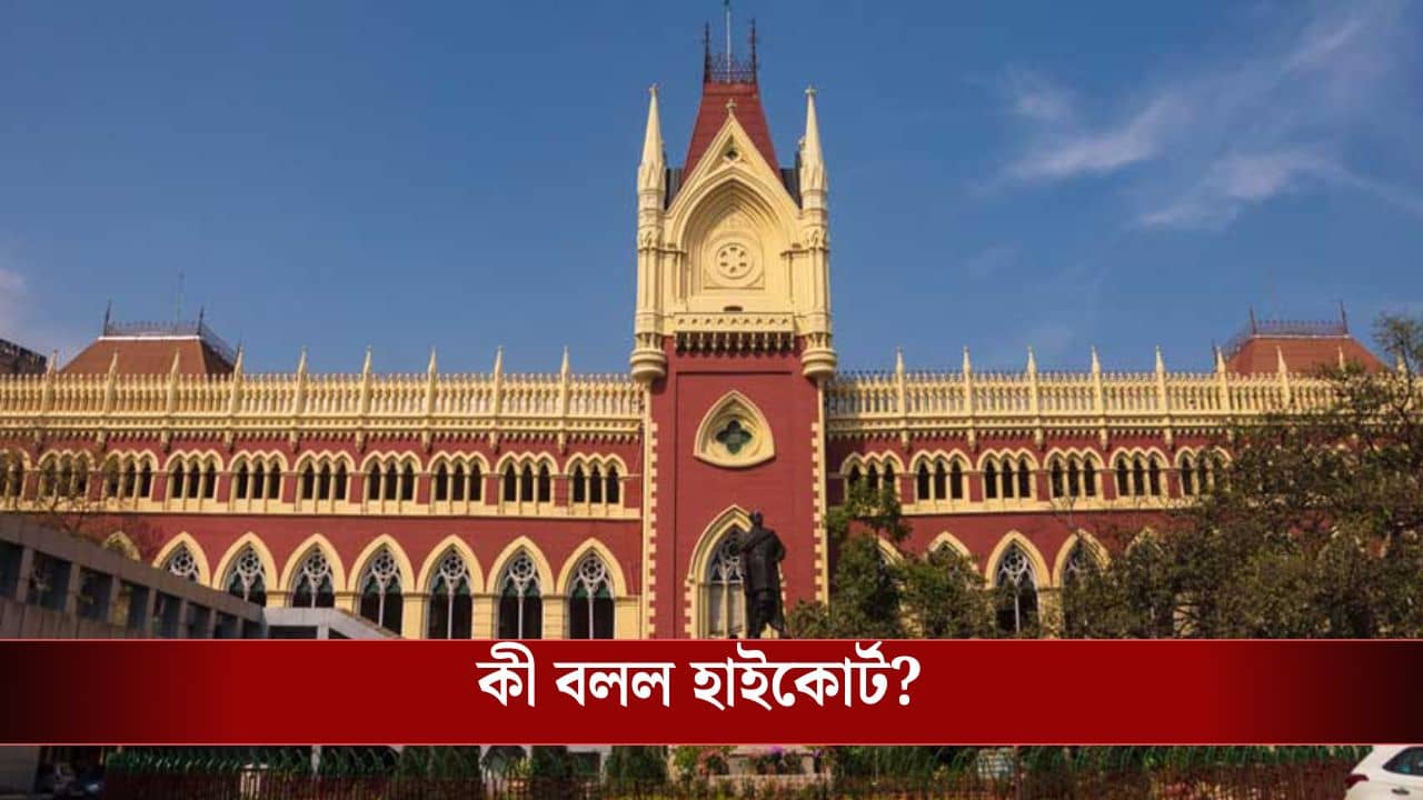 Calcutta High Court: প্রেস্টিজিয়াস প্রজেক্ট, রাজ্যের যুক্তি আর শুনবে না হাইকোর্ট, দিনক্ষণ জানানোর নির্দেশ আদালতের