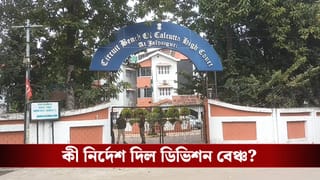 Calcutta High Court: GTA-র ৩১৩ প্রাথমিক শিক্ষকের চাকরি বাতিল নিয়ে বড় নির্দেশ ডিভিশন বেঞ্চের, দীর্ঘদিন চাকরি করার প্রসঙ্গ উঠে এল