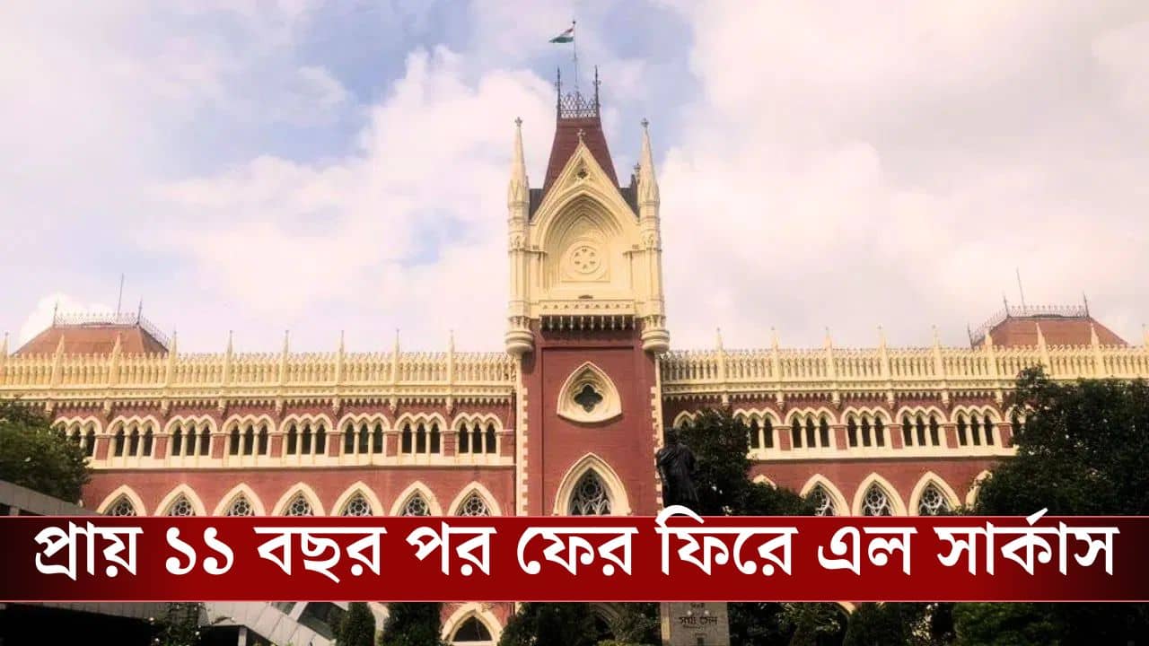 Calcutta High Court on Circus: পার্ক-সার্কাস ময়দানেই হবে সার্কাস, নির্দেশ দিল হাইকোর্ট