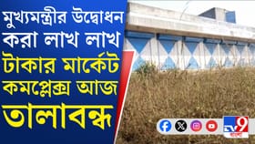 লক্ষাধিক টাকা ব্যয়ে তৈরি হয়েছিল মার্কেটিং কমপ্লেক্স,তার অবস্থা দেখুন..