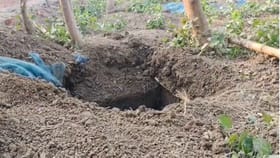 পড়ে গিয়ে মৃত্যু, কবর দিয়েছিল বাবুজানকে, ৮ মাস পর সেই জায়গাতেই...