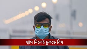 মাত্রা ছাড়া দূষণ আটকাতে চালু হল GRAP-4, কী নিয়ম মানতে হবে?