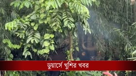 আলো করে এল সে, নতুন বছরের শুরুতেই ডুয়ার্সে খুশির খবর