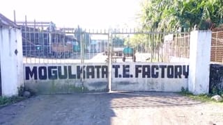 Dooars: রাতের অন্ধকারে পালাল মালিক, বাংলায় কাজ হারালেন ১,০৭৬ জন