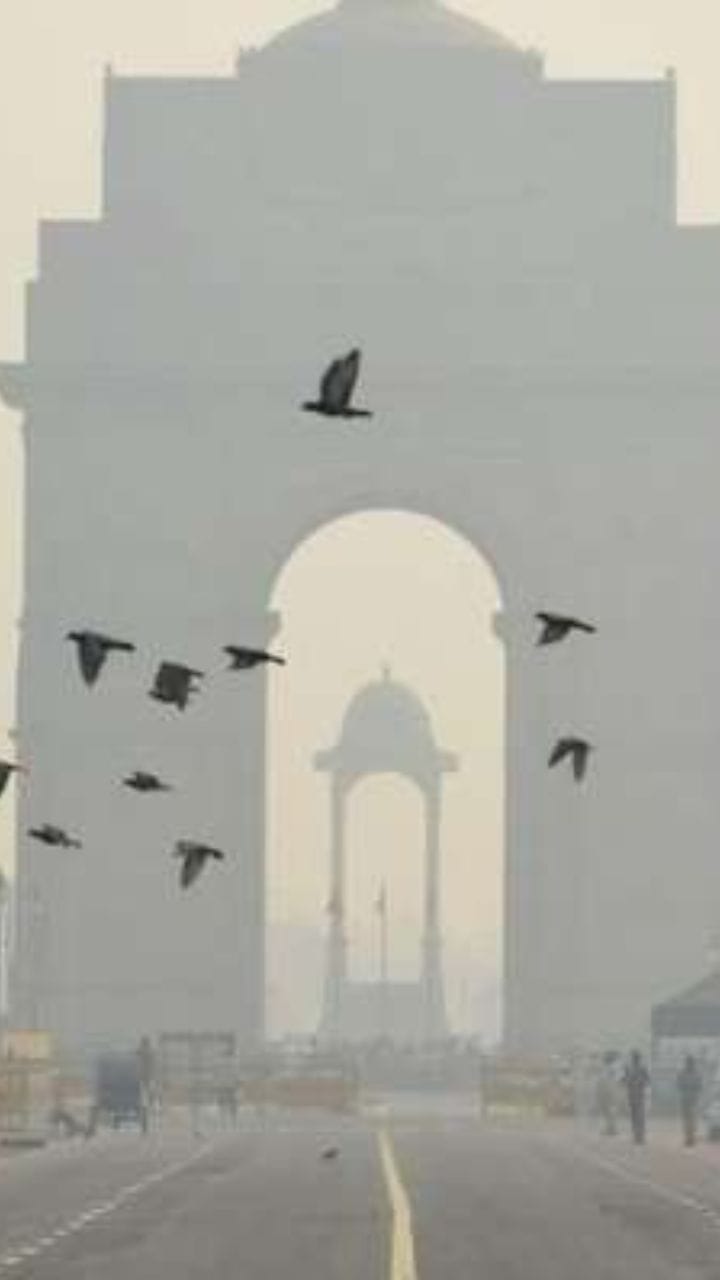 দিল্লিতে এত ঠাণ্ডা আর কুয়াশা, জারি লাল সতর্কতা