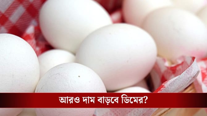 শীত পড়তেই কেন ৮ টাকা হয়ে গেল ডিমের দাম?