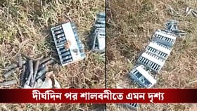 ইঁদুর ধরার জন্য মাটি খুঁড়তেই বেরিয়ে এল...