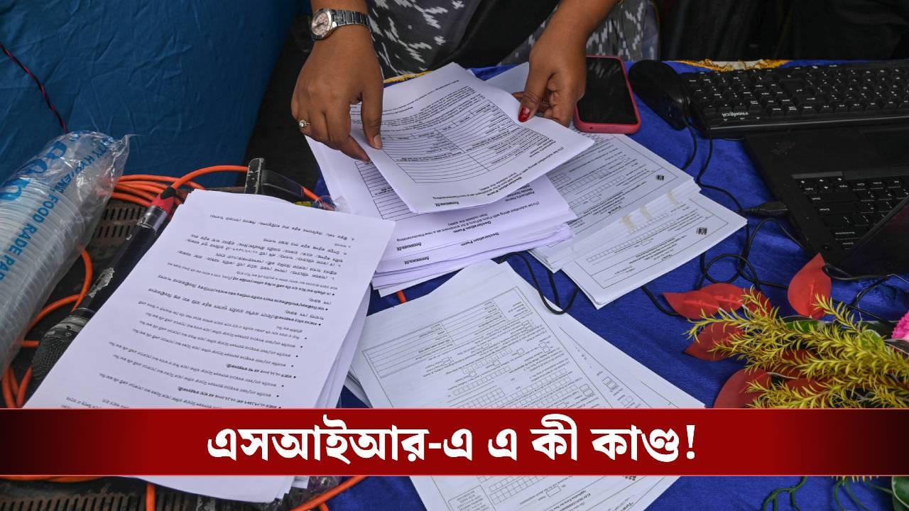 SIR: ৮,৭৭,৭৩৬টি ফর্মে যা পাওয়া গেল, শুনলেই চমকে যাবেন
