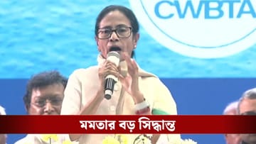 Mamata Banerjee on Business: তাঁত থেকে টেরাকোটা! ভোটের আগে বাংলার ব্যবসায়ীদের জন্য বড় সিদ্ধান্ত মমতার