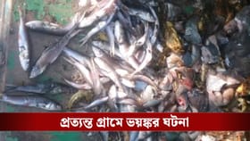 মাছ খেয়েই দলে দলে হাসপাতালে ছুটলেন শবর জনজাতির মানুষ!