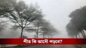 শুধু উইকেন্ডের অপেক্ষা! শুক্র-শনিবারই ঘুরবে খেলা, আপডেট দিল হাওয়া অফিস