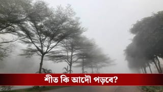 West Bengal Weather: শুধু উইকেন্ডের অপেক্ষা! শুক্র-শনিবারই ঘুরবে খেলা, শীত কি আদৌ পড়বে? আপডেট দিল হাওয়া অফিস