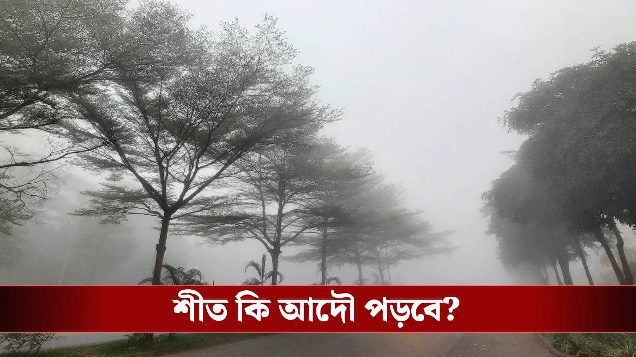 West Bengal Weather: শুধু উইকেন্ডের অপেক্ষা! শুক্র-শনিবারই ঘুরবে খেলা, শীত কি আদৌ পড়বে? আপডেট দিল হাওয়া অফিস