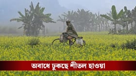 একধাক্কায় ১০ ডিগ্রিতে নামল পারদ, উইকেন্ডে জাঁকিয়ে ঠান্ডা