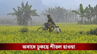 West Bengal Weather: একধাক্কায় ১০ ডিগ্রিতে নামল পারদ, উইকেন্ডে জাঁকিয়ে ঠান্ডা, কলকাতাতেও হাড় কাঁপবে শীতে