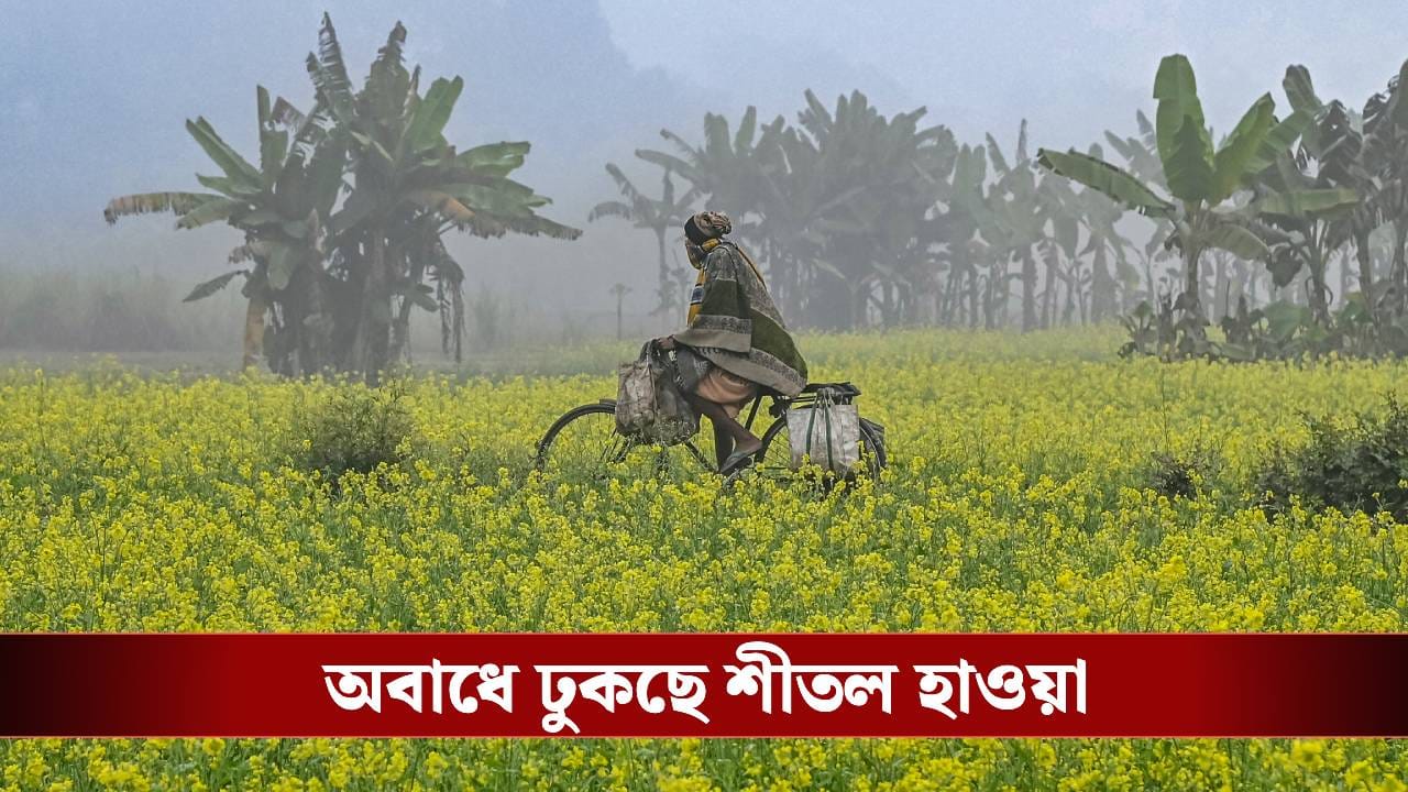 West Bengal Weather: একধাক্কায় ১০ ডিগ্রিতে নামল পারদ, উইকেন্ডে জাঁকিয়ে ঠান্ডা, কলকাতাতেও হাড় কাঁপবে শীতে West Bengal Weather: একধাক্কায় ১০ ডিগ্রিতে নামল পারদ, উইকেন্ডে জাঁকিয়ে ঠান্ডা, কলকাতাতেও হাড় কাঁপবে শীতে