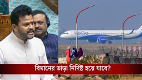 সারা বছর বিমানের ভাড়া নির্দিষ্ট করে দেওয়া হবে? সরকার বলল...