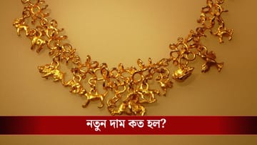 Gold Price Today: পরপর দু'দিন কমল সোনার দাম, এখন সোনা না কিনলে পরে পস্তাতে হবে!