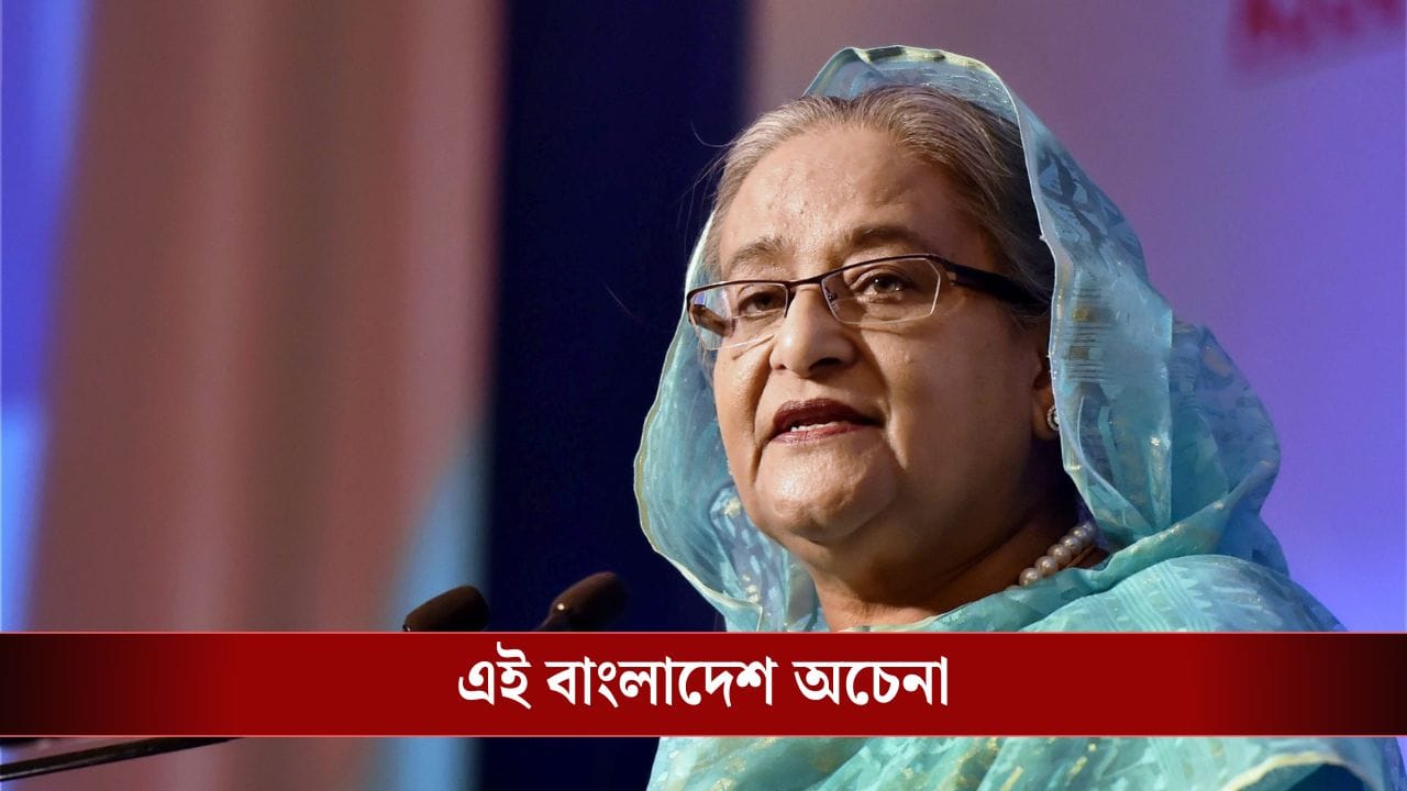 Sheikh Hasina: ‘সংখ্যালঘুদের পুড়িয়ে মারছে…’ ইউনূসের দিকেই আঙুল, কেমন ছিল আগের বাংলাদেশ, মনে করালেন হাসিনা