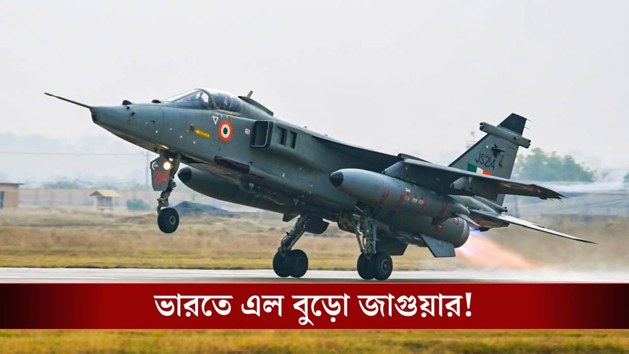 Oman Jaguar: ওমান থেকে ভারতে এল ২০ বুড়ো জাগুয়ার, কী কাজে লাগাবে বায়ুসেনা?