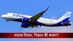 আকাশে জটিলতা, থমকে বিমানের চাকা! আসল সমস্যা কোথায়?