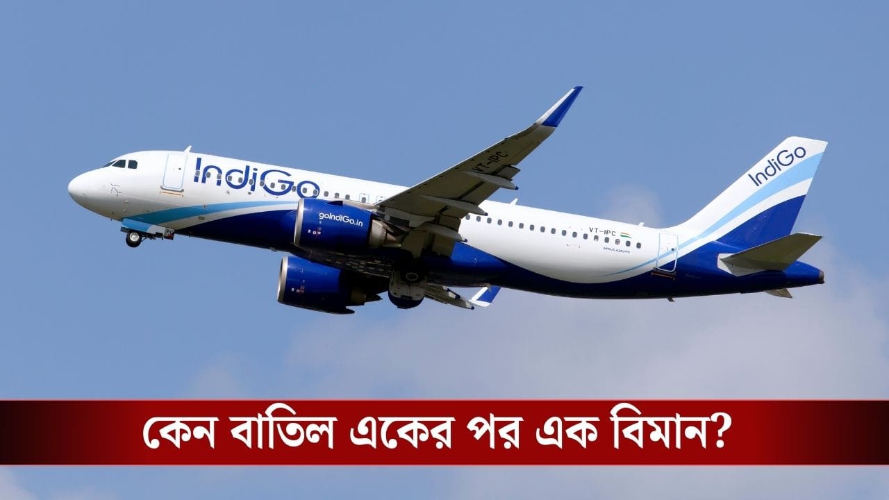 IndiGo Flight Operation Disrupted: ২০০-রও বেশি উড়ান বাতিল, লেট ১০০ বিমান! কেন থমকে গেল IndiGo-র পরিষেবা?