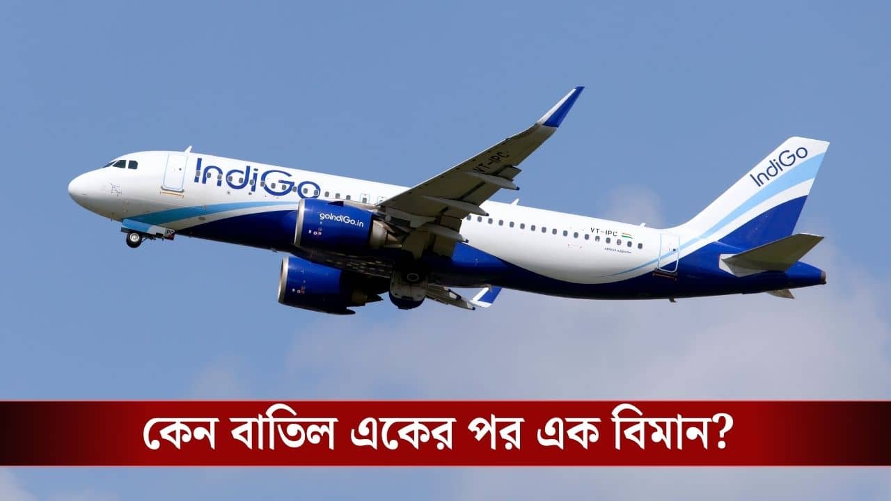IndiGo Flight Operation Disrupted: ২০০-রও বেশি উড়ান বাতিল, লেট ১০০ বিমান! কেন থমকে গেল IndiGo-র পরিষেবা?